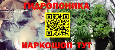спайс Гусев