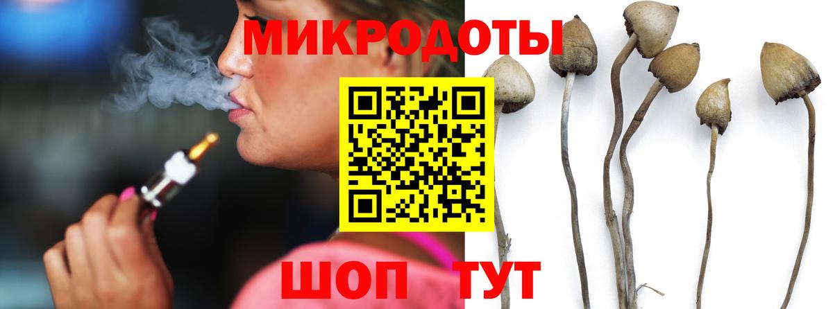 Псилоцибиновые грибы Cubensis Миасс