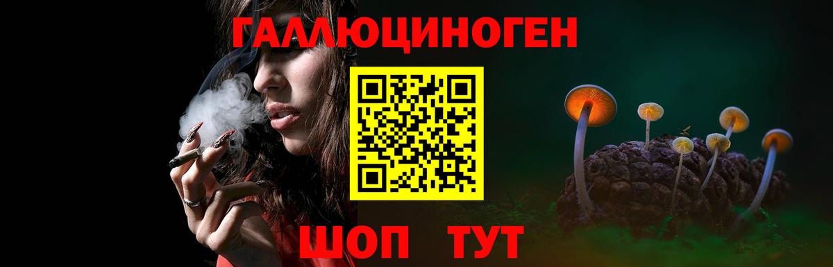 Галлюциногенные грибы GOLDEN TEACHER  где найти наркотики  Миасс  Вход с VPN 